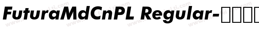 FuturaMdCnPL Regular字体转换
